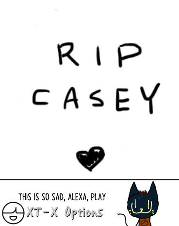 rip casey